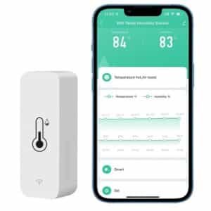Termómetro inteligente WIFI para bañera de hidromasaje