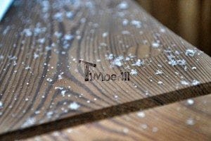 Thermo wood hot tub exclusive 11