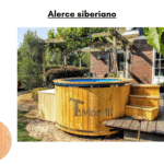 Alerce siberiano